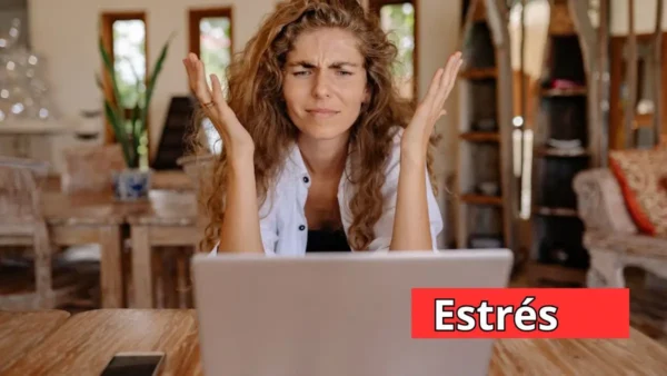 "Persona estresada frente a una computadora en un entorno de trabajo desde casa."